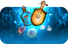 PoE Magic Find Build Boost
